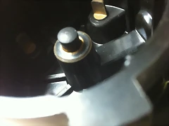 IMG_3700 IMG_3700