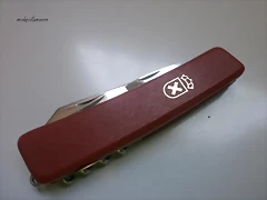 P8010050