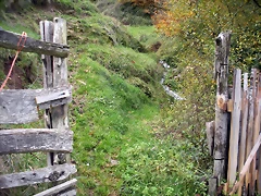 DSCN0586 DSCN0586