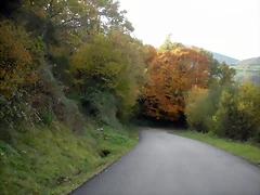 DSCN0500 DSCN0500