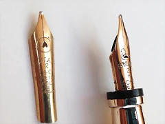 NibS1
