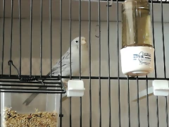 IMG_20170122_124417 IMG_20170122_124417