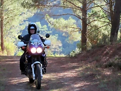 DSCN1450'2 DSCN1450'2