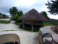 DSCN6558