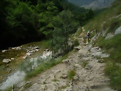 P6230281 P6230281