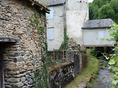 IMG_6537 IMG_6537