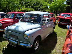 DSC_0691 DSC_0691