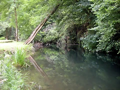 DSCN4161 DSCN4161