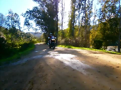 P1130350 P1130350