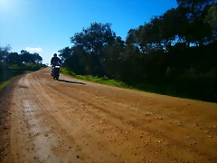 P1130338 P1130338
