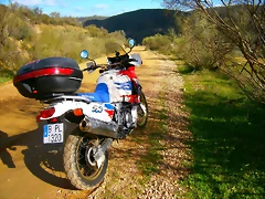 P1130356 P1130356