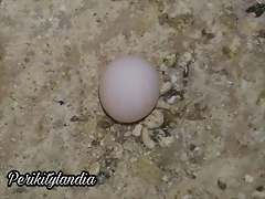 FB_IMG_1537614338439 FB_IMG_1537614338439