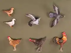 animals birds