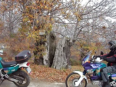 DSCN9521 DSCN9521