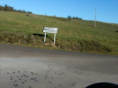DSCN1103 DSCN1103
