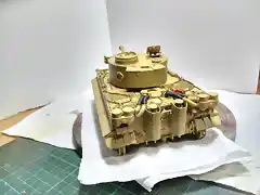 Tiger72