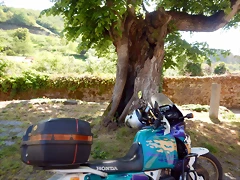 DSCN0373 DSCN0373