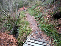 DSCN0753 DSCN0753