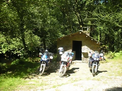DSCN6595 DSCN6595
