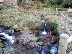 DSCN0165 DSCN0165