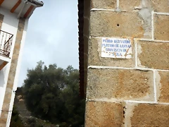 DSCN2589 DSCN2589