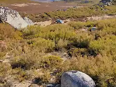 Desde Cenza a MatoAlto Cernado (15)