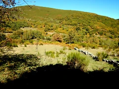 DSCN7951 DSCN7951