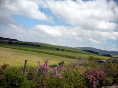 DSCN5379