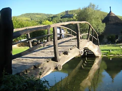 IMG_1327 IMG_1327
