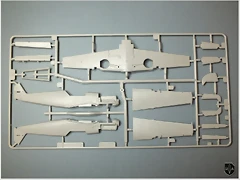 DSCF1571