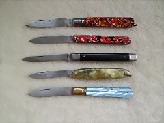 SAM_1208 SAM_1208