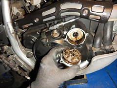 DSCN5721 DSCN5721