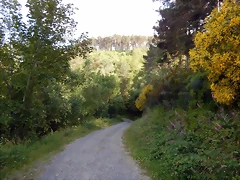 DSCN9218 DSCN9218