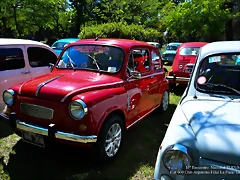 DSC_0689 DSC_0689