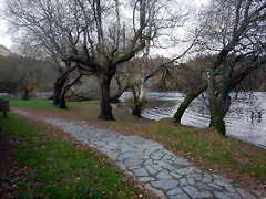 DSCN0770 DSCN0770