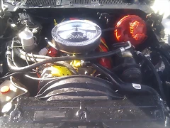 IMAG0498 IMAG0498