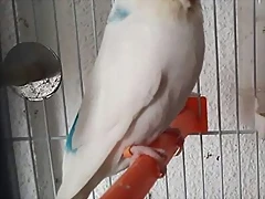 20170610_202923