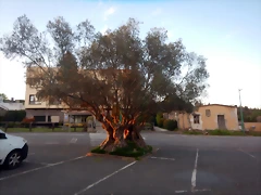 DSCN4929'4 DSCN4929'4
