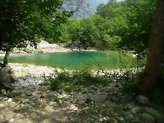 P6230134 P6230134