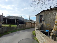 DSCN9350 DSCN9350