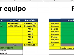 DESPIDOS