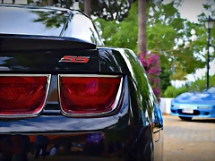 DSC_0867 DSC_0867