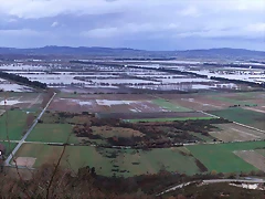 Antela_inundada1 Antela_inundada1