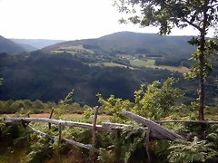 DSCN4390 DSCN4390