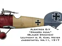 Albatros D.V. CMeyer