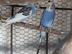 20180126_132307