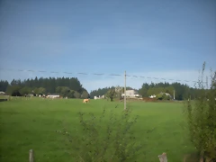 DSCN9787 DSCN9787