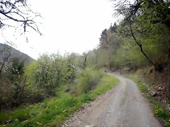 DSCN3499 DSCN3499