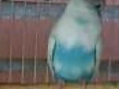 20190617_132955 20190617_132955