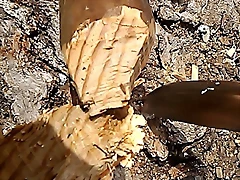 WP_20160308_011 WP_20160308_011